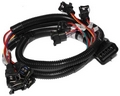 Fuel Injector Harness